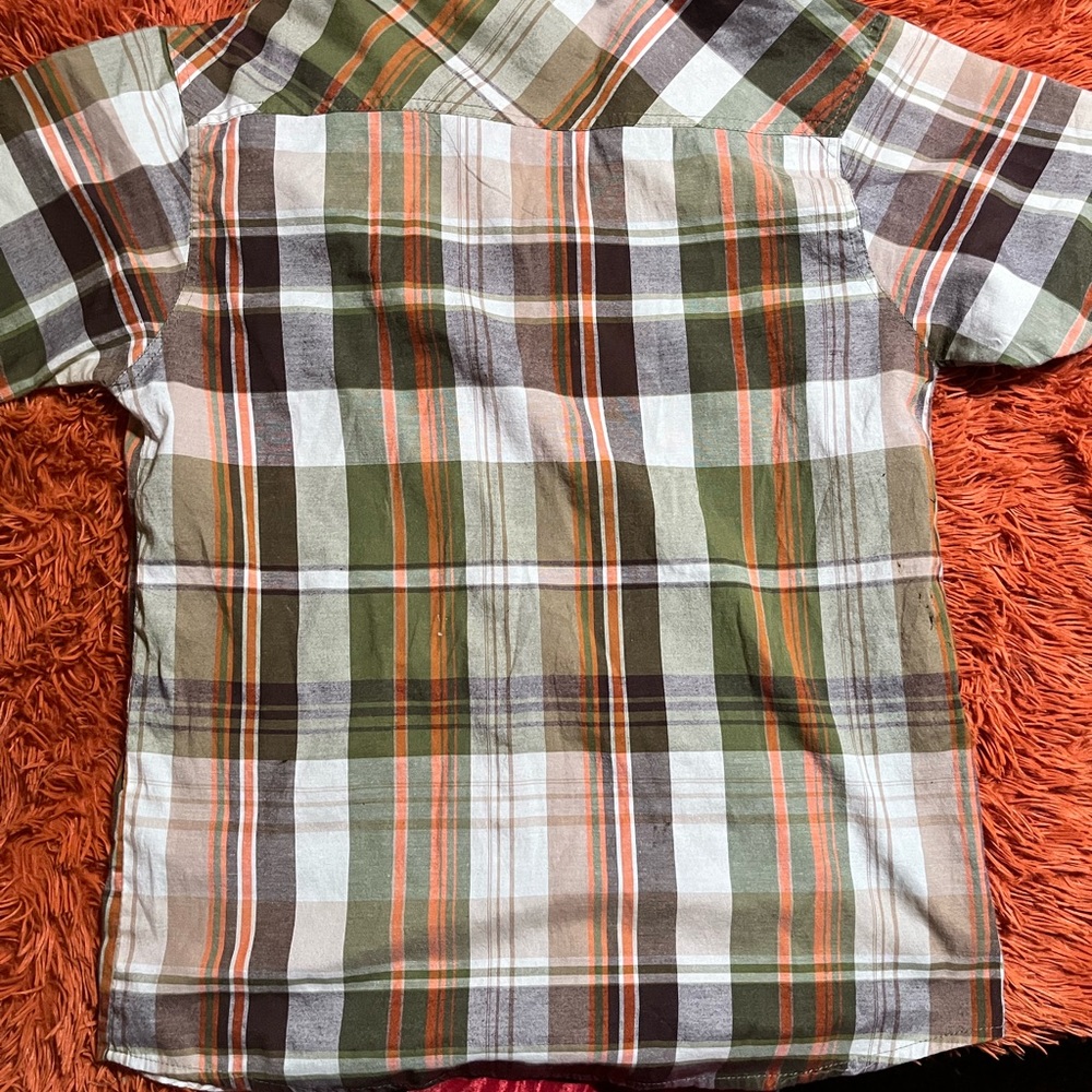 Multiple colored evolution shirt - Picture 3 of 5
